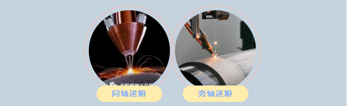 1647845878138906.png 送粉.png